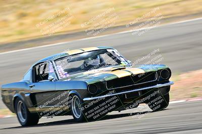 media/Mar-23-2025-West Coast Racing (Sun) [[de161b708f]]/Yellow Group/Session 3 (Turns 3 and 5)/